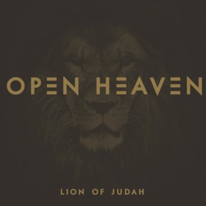 642872705623 Lion Of Judah