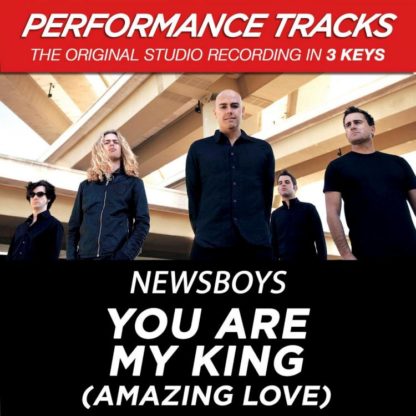 724387789753 You Are My King (Amazing Love) [Performance Tracks] - EP