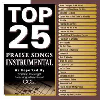 738597178122 Top 25 Praise Songs: Instrumental