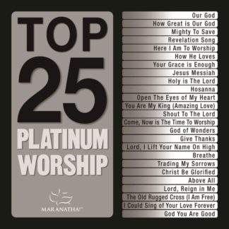 738597234354 Top 25 Platinum Worship
