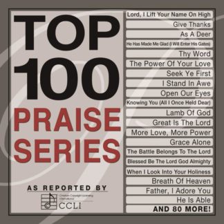 738597234958 Top 100 Praise Series
