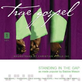 741897017367 Standing In The Gap (Cassette)