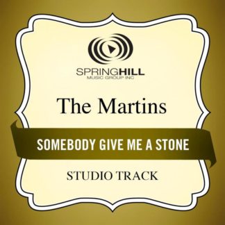789042416658 Somebody Give Me A Stone (Studio Track)