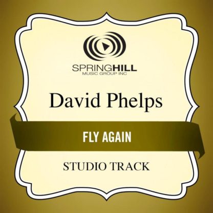 789042424059 Fly Again (Studio Track)