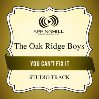 789042426459 You Can't Fix It (Studio Track)