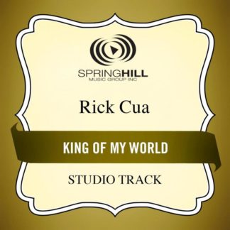 789042428453 King of My World (Studio Track)