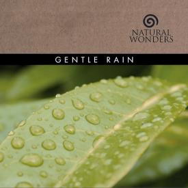 792755207857 Gentle Rain