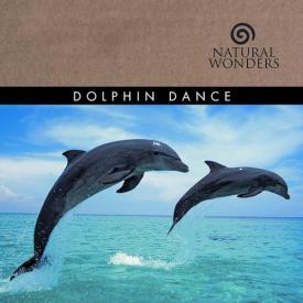 792755208656 Dolphin Dance