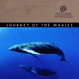 792755208953 Journey Of The Whales