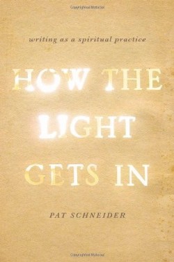 9780199933983 How The Light Gets In