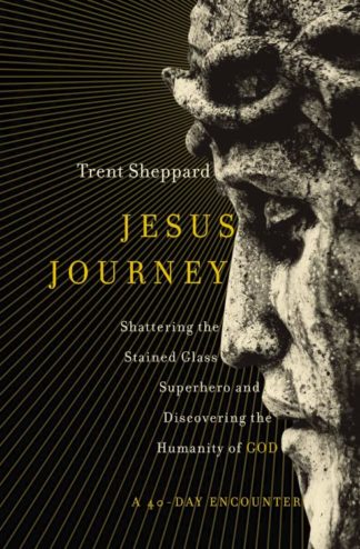 9780310347767 Jesus Journey : Shattering The Stained Glass Superhero And Discovering The