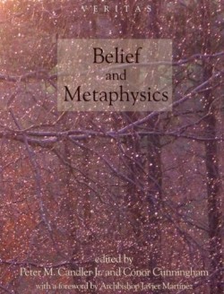 9780334041375 Belief And Metaphysics