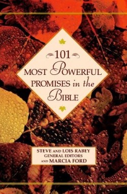 9780446532143 101 Most Powerful Promises In The Bible
