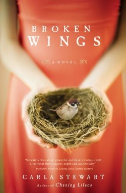 9780446556569 Broken Wings : A Novel