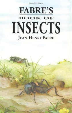 9780486401522 Fabres Book Of Insects