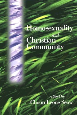 9780664256647 Homosexuality And Christianity Community