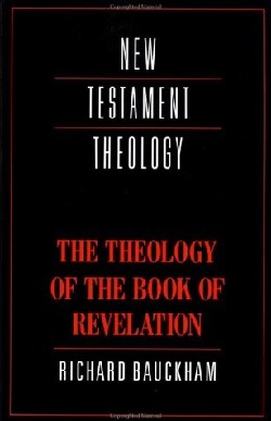 9780521356916 Theology Of The Book Of Revelation
