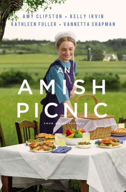 9780310357889 Amish Picnic : Four Stories