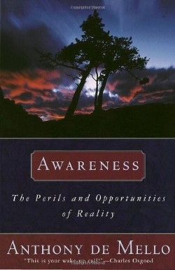 9780385249379 Awareness : The Perils And Oppurtunities Of Reality