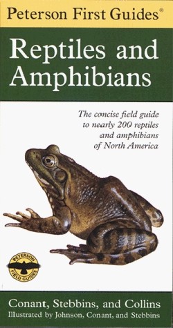 9780395971956 Reptiles And Amphibians