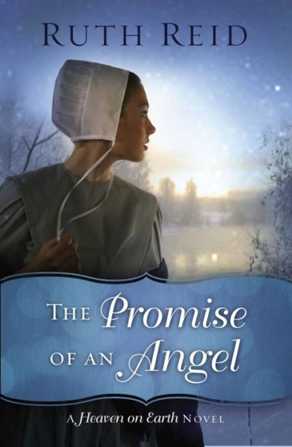 9780718084776 Promise Of An Angel