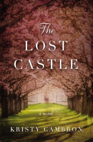 9780718095468 Lost Castle : A Novel