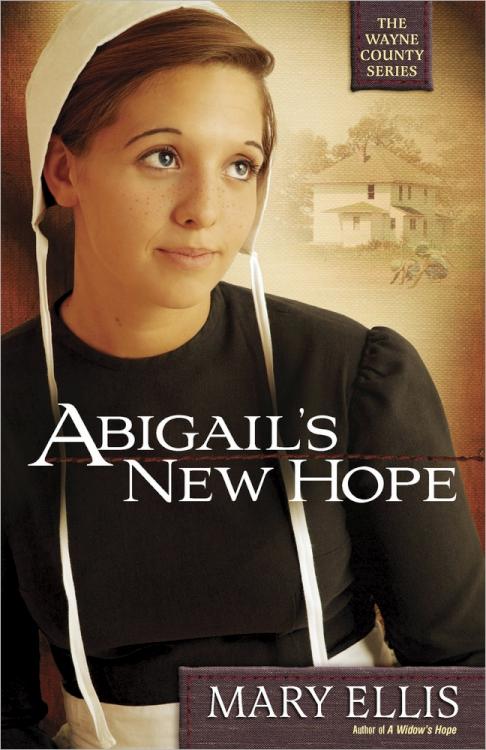9780736930093 Abigails New Hope