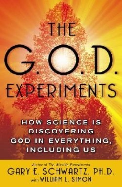 9780743477413 God Experiments : How Science Is Discovering God In Everything Including Us