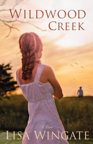 9780764208249 Wildwood Creek : A Novel (Reprinted)