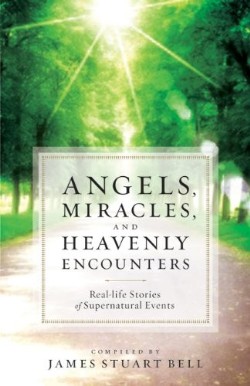 9780764209581 Angels Miracles And Heavenly Encounters (Reprinted)