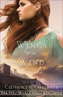 9780764218224 Wings Of The Wind