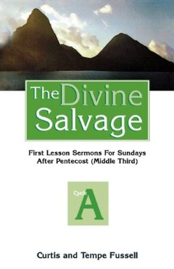 9780788012372 Divine Salvage Cycle A