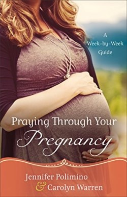 9780800726843 Praying Through Your Pregnancy (Reprinted)