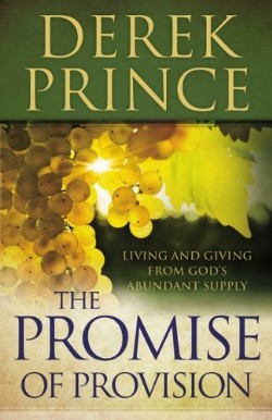 9780800795221 Promise Of Provision
