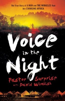 9780800795238 Voice In The Night (Reprinted)