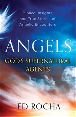9780800798154 Angels Gods Supernatural Agents