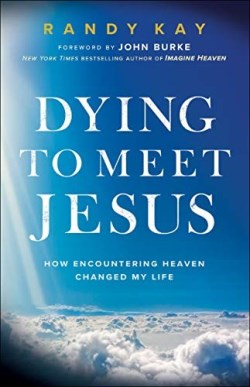 9780800799502 Dying To Meet Jesus