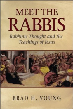 9780801048180 Meet The Rabbis (Student/Study Guide)