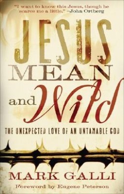 9780801071577 Jesus Mean And Wild