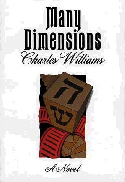 9780802812216 Many Dimensions : A Novel