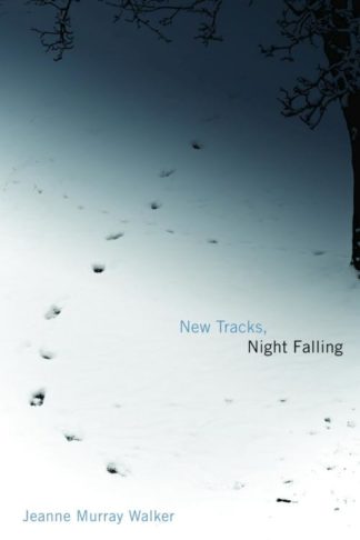 9780802825728 New Tracks Night Falling