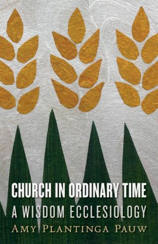 9780802871862 Church In Ordinary Time