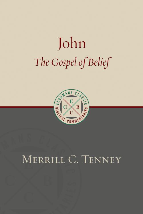 9780802875860 John : The Gospel Of Belief