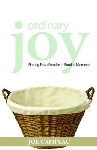 9780806651453 Ordinary Joy : Finding Fresh Promise In Routine Moments