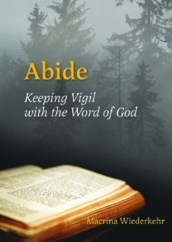 9780814633830 Abide : Keeping Vigil With The Word Of God