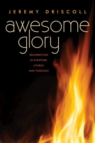 9780814644034 Awesome Glory : Resurrection In Scripture
