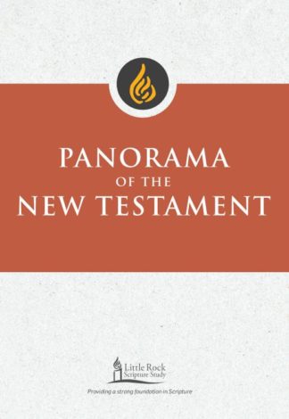 9780814663745 Panorama Of The New Testament