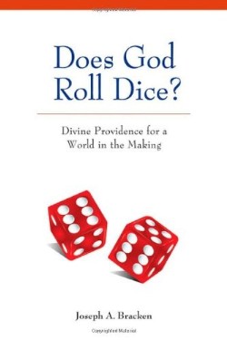9780814680520 Does God Roll The Dice