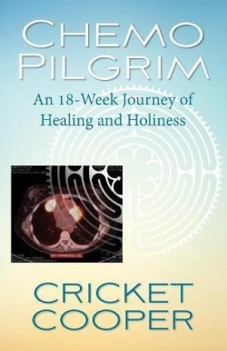 9780819233134 Chemo Pilgrim : An 18-Week Journey Of Healing And Holiness