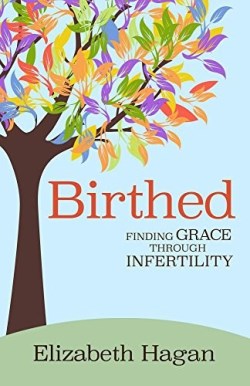 9780827203112 Birthed : Finding Grace Through Infertility